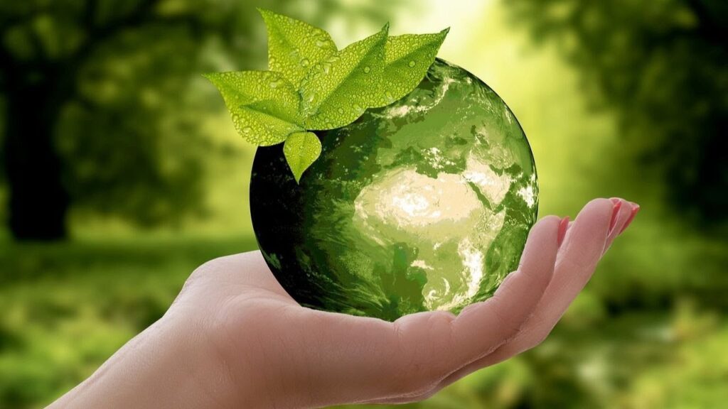 ¿QUÉ ES LA ECOLOGÍA INTEGRAL?